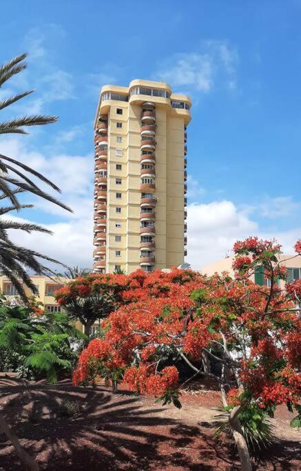 Estudio Coqueto Torres Del Sol Arona  Kültér fotó